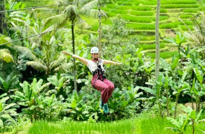Rice Terrace Zipline